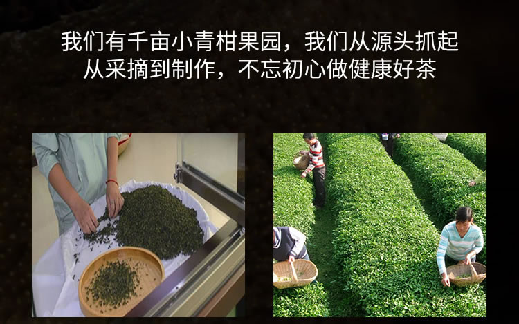 陈皮白茶 详情描述04_r2_c1.jpg