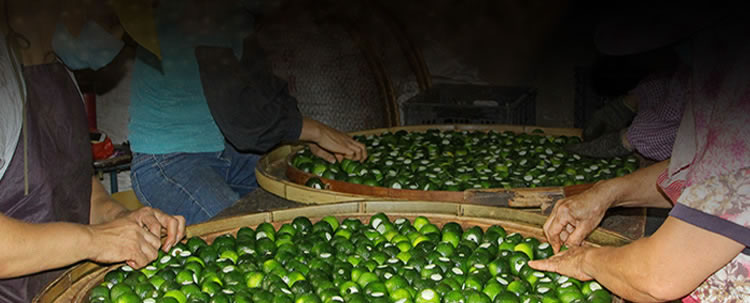 陈皮白茶 详情描述05_r1_c1.jpg