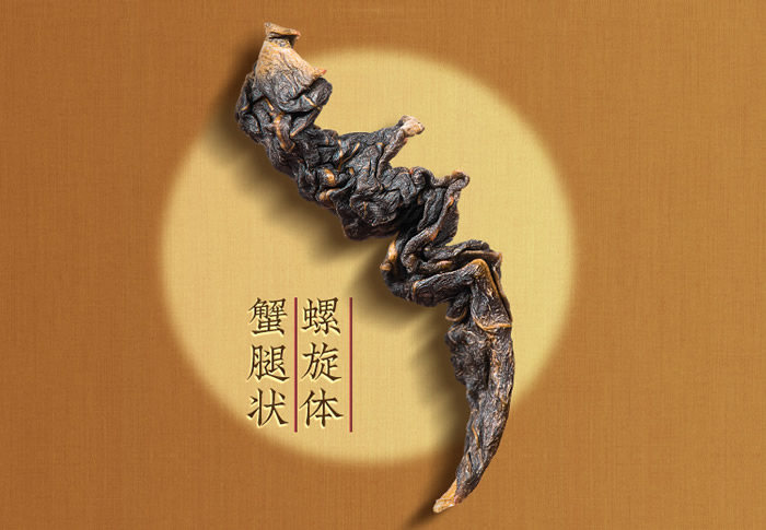 铁观音茶的品种分类 02.jpg