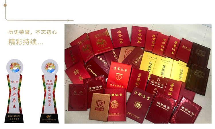 自来香（康士力）品牌荣誉 03.jpg