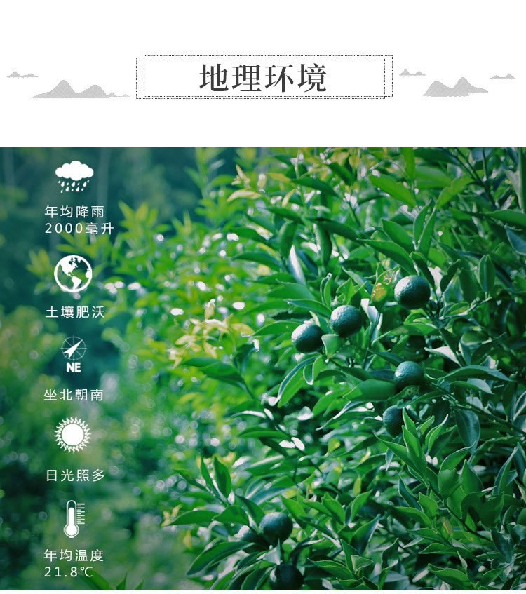 陈皮普洱 详情描述10.jpg