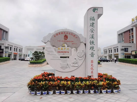 铁观音茶的历史发展 01.jpg