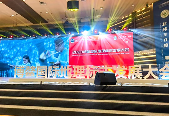 “茗总统”亮相2023博鳌国际地理标志发展大会 01.jpg